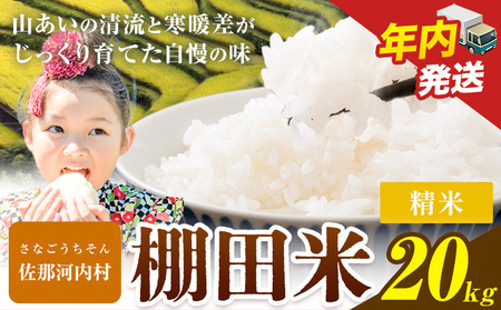 【先行予約】清流と寒暖差が生む村自慢の棚田米 精米 20kg《2026年11月以降順次出荷》 米