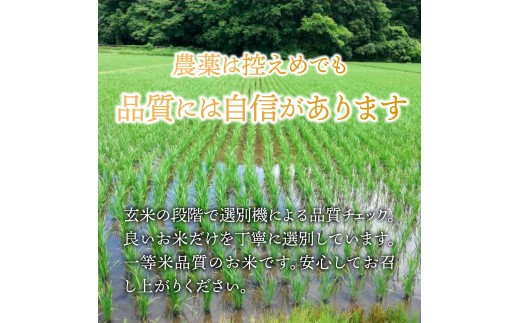 【3回定期便】 令和8年産 コシヒカリ 玄米30kg 茨城県ひたちなか市産  |  定期便 3回 こしひかり コシヒカリ ふくまる フクマル 米 お米 おこめ こめ 玄米 ごはん ご飯  厳選米 茨城