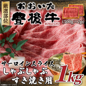【厳選部位】おおいた豊後牛サーロインしゃぶしゃぶすき焼き用 1kg (500g×2p)