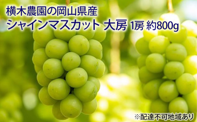 ぶどう 2025年 先行予約 シャイン マスカット 大房1房 約800g 贈答用 ブドウ 葡萄  岡山県産 国産 フルーツ 果物 ギフト 横木農園