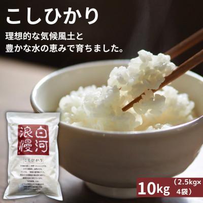 ふるさと納税 矢吹町 令和7年産米 白河浪慢こしひかり 10kg 精米
