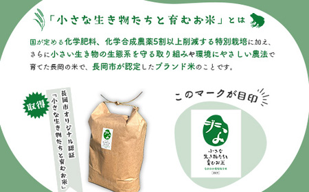 25-7SC051【精米】新潟県長岡産コシヒカリ5kg【「小さな生き物たちと育むお米」認証品】
