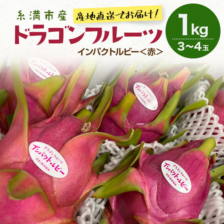 【ふるさと納税】【2026年発送】糸満市産 「ドラゴンフルーツ インパクトルビー 赤」1kg (3～4玉) 国産 産地直送 果実 果物 くだもの フルーツ 贈り物 贈答品 お取り寄せ トロピカルフルーツ 旬 あっさり 厳選 常温 ピタヤ 火龍果 南国 沖縄産 沖縄県 糸満市