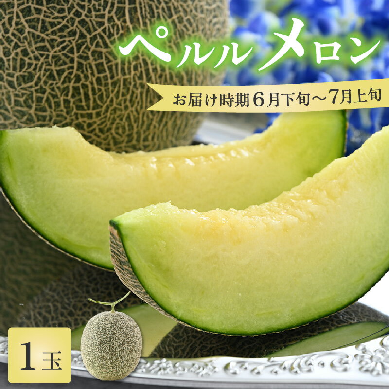 【ふるさと納税】ペルルメロン 1玉（約2kg以上）青肉品種 高級メロン！ ／ マスクメロン 大玉 果物 フルーツ ギフト 農家直送 ※2026年6月下旬以降順次発送