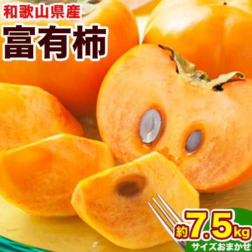 【ふるさと納税】【先行予約】甘柿の王様 和歌山産 富有柿 秀品 約7.5kg サイズおまかせ 厳選館《2026年11月中旬-12月上旬頃出荷》和歌山県 日高町 柿 カキ フルーツ ジューシー 青果 果物