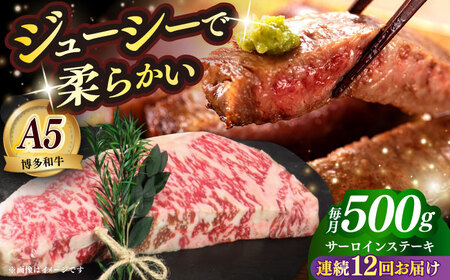 【全12回定期便】国産 博多和牛 A5ランク サーロイン ステーキ 250g×2枚 雌 ステーキ 和牛 肉 BBQ [ABEN016]