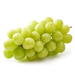 【数量限定】宮内果樹観光園のシャインマスカット 約1kg 2房前後 | フルーツ 果物 くだもの ぶどう ブドウ 葡萄 シャインマスカット マスカット 産地直送 国産 大分県 中津市