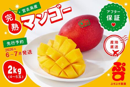 【ぷすぷす農園】＜2026年発送先行予約＞宮古島産完熟マンゴー(家庭用／2キロ／農園直送)（KY002）