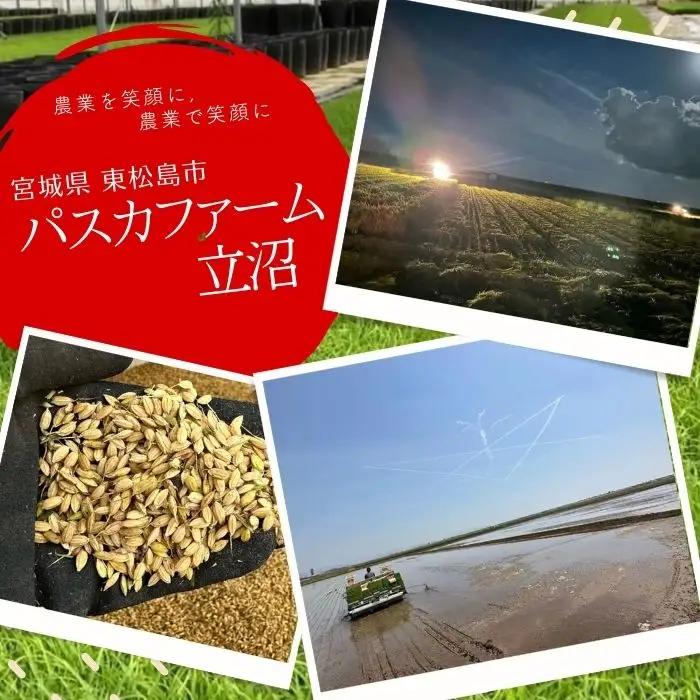 【先行予約】【令和8年産】【新米】【令和8年10月中旬～順次発送】 ササニシキ 玄米 30kg C｜ササニシキ