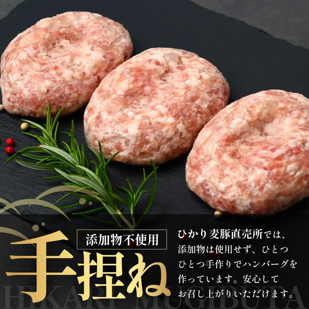 鹿児島県産 ひかり麦豚 手捏ねハンバーグ セット サイズ違い 大中小 ≪合計22個≫  HM-705 | 肉 お肉 にく 豚肉 絶品 ハンバーグ 添加物不使用 肉汁 ジューシー おかず お弁当 ロコモ