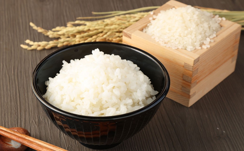 【12ヶ月定期便】オリジナルブランド米！はさき産コシヒカリ 鈴穂 精米 5kg×12回 合計60kg
