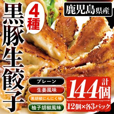 ふるさと納税 いちき串木野市 鹿児島黒豚生餃子4種詰合せセット 合計144個(4種×12個×3P)国産野菜使用!