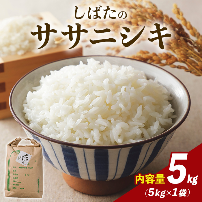 【令和7年産】しばたのササニシキ 精米 5kg 柴田町産 お米 おこめ 米 コメ 白米 ご飯 ごはん おにぎり お弁当 ささにしき【しばたの未来株式会社】sh138