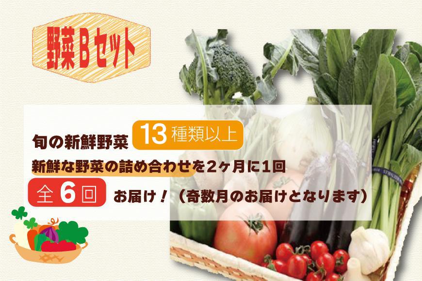 【定期便 / 全6回：奇数月お届け】旬の新鮮野菜セットB（たっぷり13種類以上）