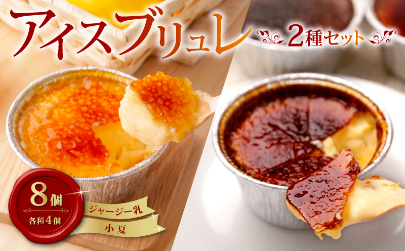 アイスブリュレセットC 8個（ジャージー乳、小夏 各4個） クレーム ブリュレ キャラメル プリン クレームブリュレ おやつ お菓子 スイーツ スウィーツ 贈答 贈り物 ギフト プレゼント 送料無料 人気 おすすめ 高知県 南国市