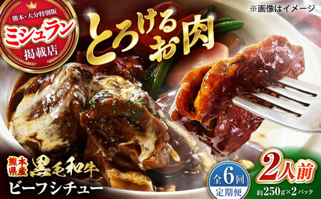 【全6回定期便】 熊本県産 黒毛和牛 こだわりのビーフシチュー 計2パック （約250g×2パック） ビーフシチュー ビーフ シチュー 牛肉 肉 　【有限会社スイートサプライなかぞの】[ZBV109]