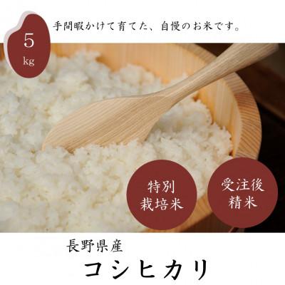 ふるさと納税 茅野市 長野県産特別栽培米　コシヒカリ　精米　5kg