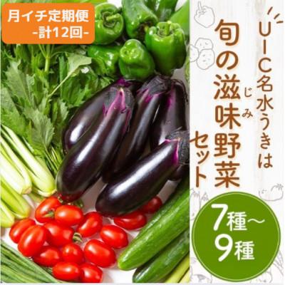 ふるさと納税 うきは市 【毎月定期便】名水うきは 旬の滋味(じみ)野菜セット　全12回