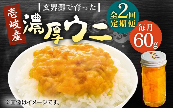 
            【全2回定期便】壱岐産 濃厚 ウニ60g《壱岐市》【合同会社塚元】ムラサキウニ 海産物 海鮮 ウニ うに 雲丹 珍味 [JDR029]
          