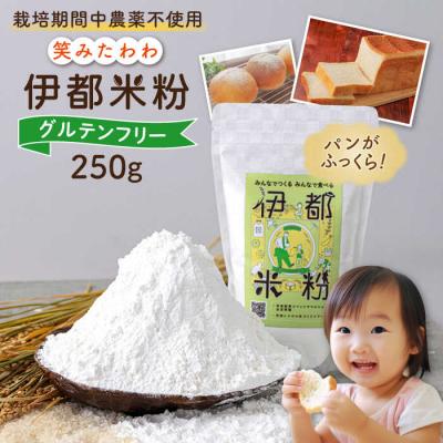 ふるさと納税 糸島市 伊都 米粉 笑みたわわ 250g フルタク [AHN006] グルテンフリー 米