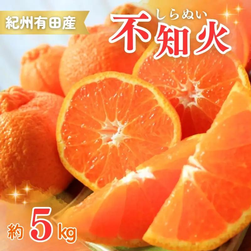 紀州有田産不知火(しらぬひ) 約5kg 2027年2月下旬頃〜3月中旬頃順次発送＞（お届け日指定不可）【uot709A】