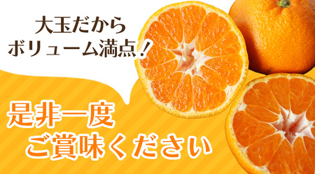 ボリューム満点！ 秀優品 大玉 温州みかん 4kg【2L～3Lサイズ】【2026年12月から2027年3月下旬頃に順次発送】＜味好農園＞/ 温州 蜜柑 みかん 柑橘 果物 フルーツ ミカン 甘い 美味
