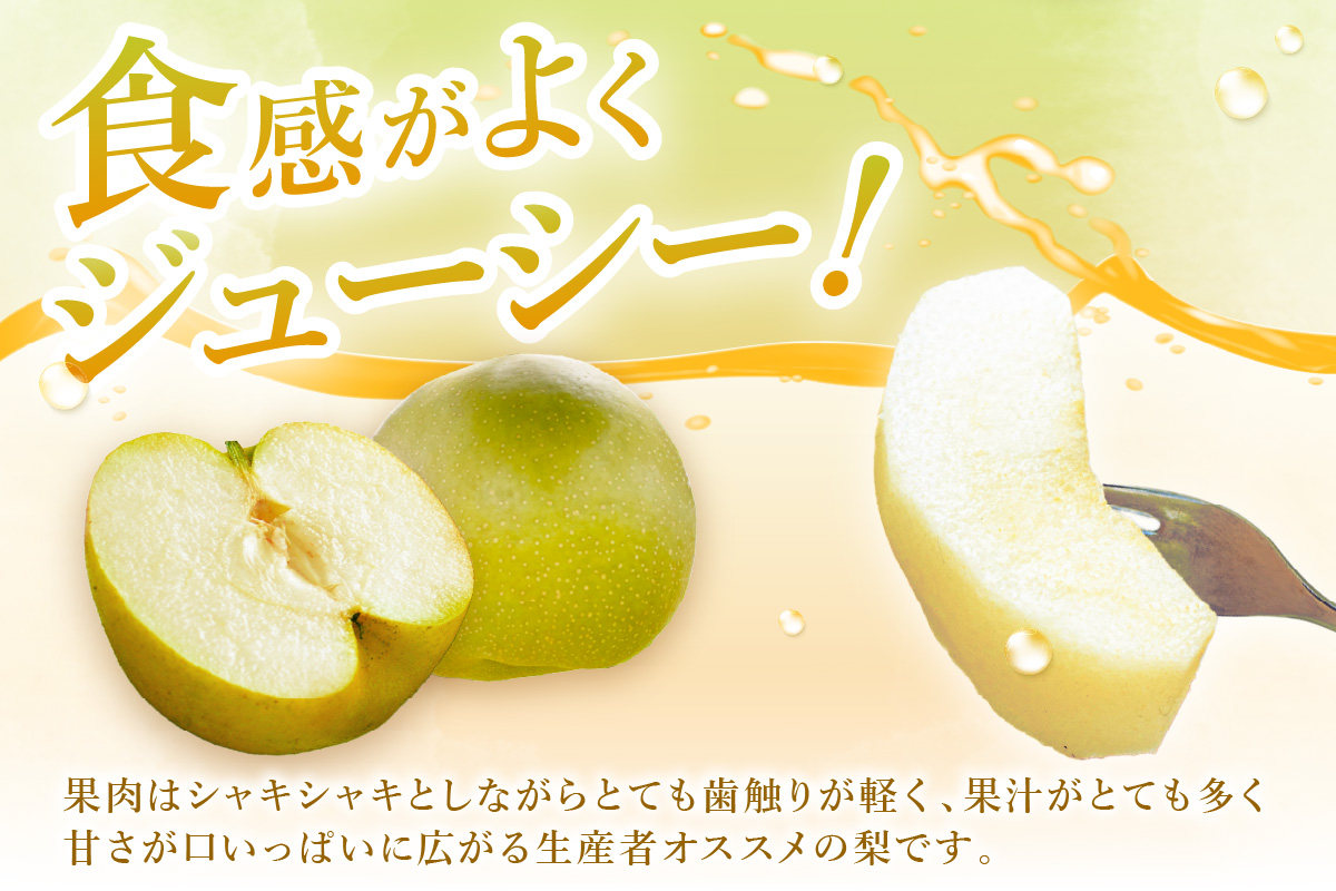 【2026年産先行予約】伊万里梨 「甘太」 約2.5kg ご自宅用におすすめ 178-B1072_イメージ3