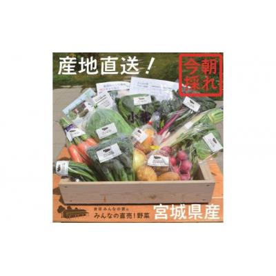 ふるさと納税 岩沼市 岩沼みんなの家の「みんなの直売!野菜」セット 8〜10個 詰め合わせ[No.5704-0326]