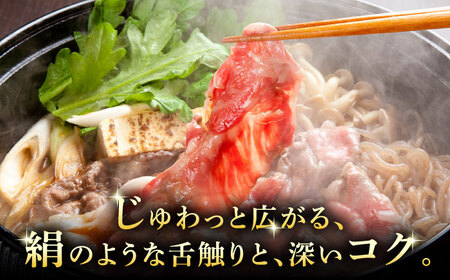 A5等級 飛騨牛 切り落とし 1kg (250g×4P) / 飛騨牛 国産 [AZCW002]