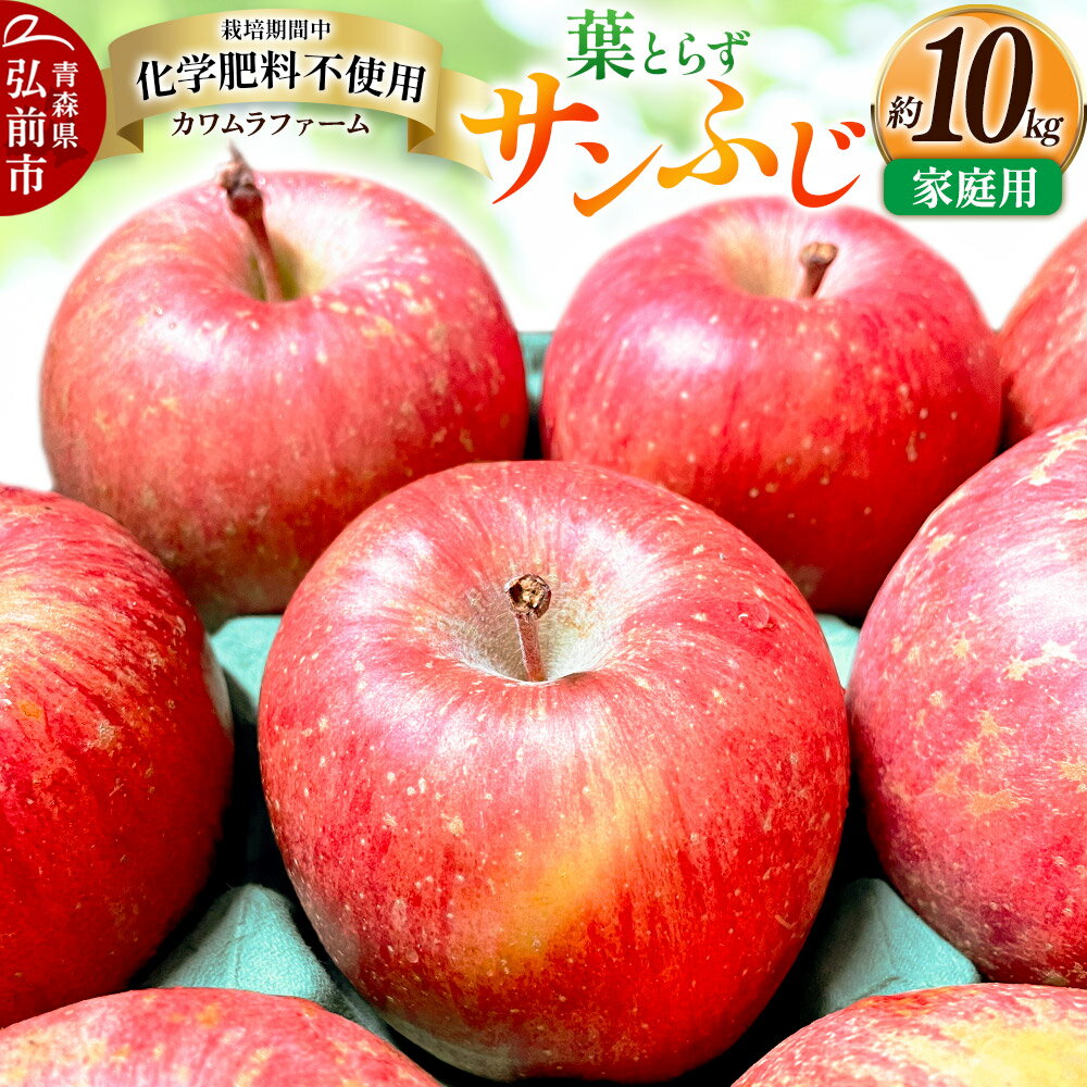 【ふるさと納税】【寄附金額見直しました】りんご 葉とらず サンふじ 約10kg カワムラファーム 家庭用 青森 果物 フルーツ 林檎 リンゴ くだもの