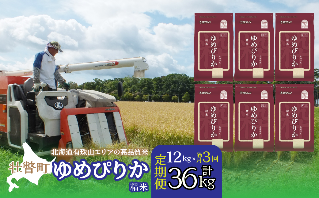 【令和6年産 隔月3回配送】（精米12kg）ホクレンゆめぴりか（精米2kg×6袋） SBTD033