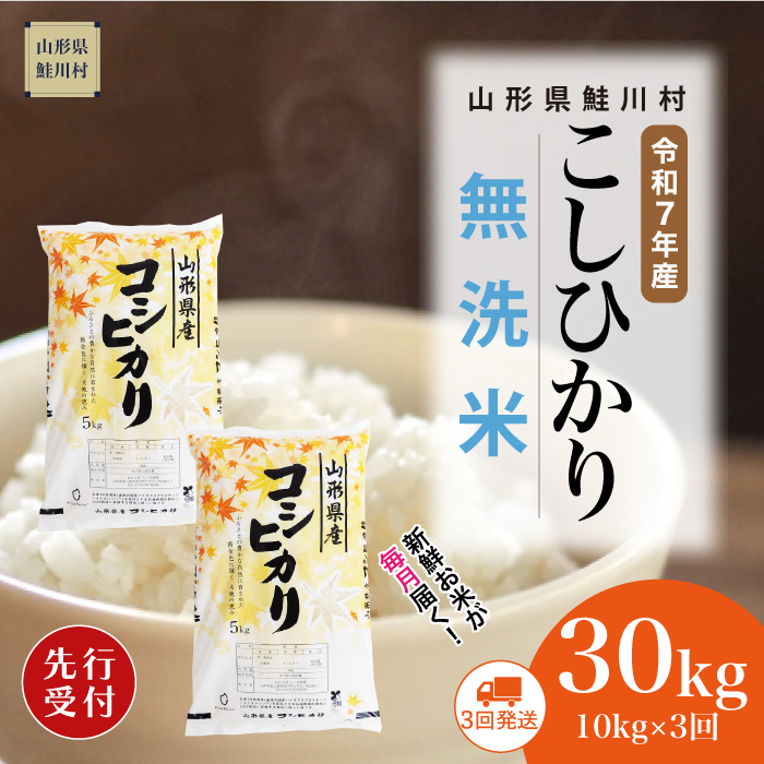 ＜令和7年産米先行受付＞ 鮭川村産 こしひかり 【無洗米】30kg定期便 (10kg×3回)　配送時期指定できます！