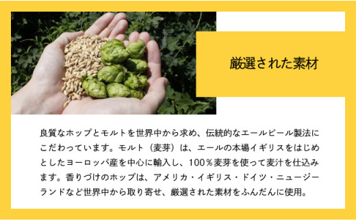 【定期便12ヶ月】水曜日のネコ(24缶)クラフトビール