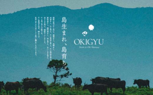 【黒毛和牛 ロース 上赤身 すきやき用500g】島生まれ島育ちのブランド黒毛和牛 隠岐牛 黒毛和牛 牛肉 肉 ブランド牛 ロース すき焼き 鍋 母の日 父の日 バーベキュー ギフト 冷凍
