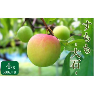 ふるさと納税 田辺市 先行予約 すもも(大石)4kg ※5月下旬〜順次発送予定 / 和歌山県 田辺市【mtm013】