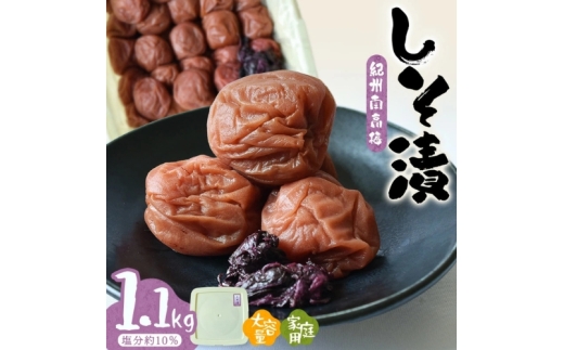 紀州南高梅しそ漬〔家庭用〕1.1kg/塩分約10％　【hjumys012B】