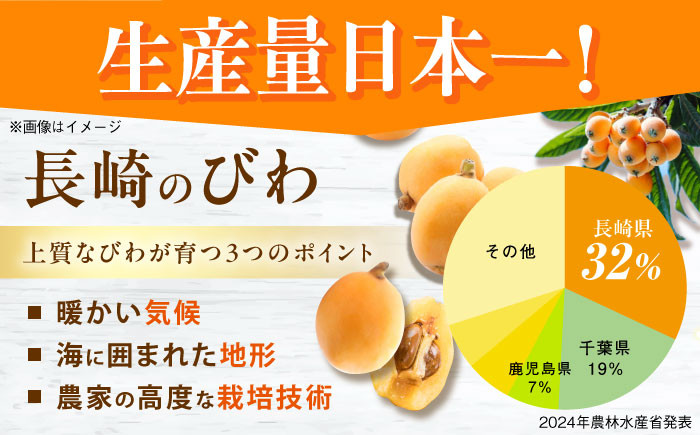 ビワ 枇杷 果物 フルーツ びわ 長崎 特産 数量限定