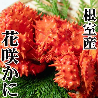 ふるさと納税 根室市 【北海道根室産】花咲かに400g前後〜500g前後×6尾 C-76039