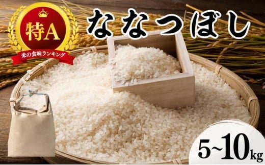 
                  ＜選べる容量＞令和7年産 北海道 ななつぼし  5kg or 10kg 精米 特A 白米 お米 米 道産米 ブランド米 ご飯 もちもち 産地直送 農園直送 人気 お取り寄せ 贈り物 備蓄 栗橋農園 送料無料
                