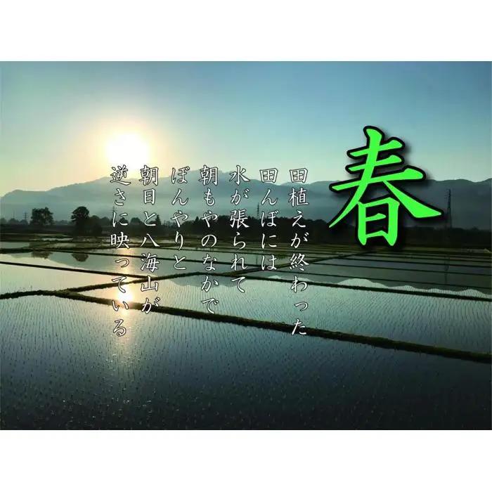【令和7年産】【南魚沼産】コシヒカリ 白米2kg【銘柄米 ブランド米 精米 こしひかり コシヒカリ 魚沼産 新潟米 産地直送 お米 米 こめ コメ ご飯 御飯 ごはん】
