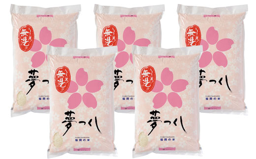 福岡の人気銘柄!!無洗米 福岡県産・夢つくし25kg 無洗米 むせんまい 米 コメ 25kg キャンプ 研がなくていい 5kg×5 TWR 25キロ 箱入り 手間なし カンタン 簡単 福岡 夢つくし 