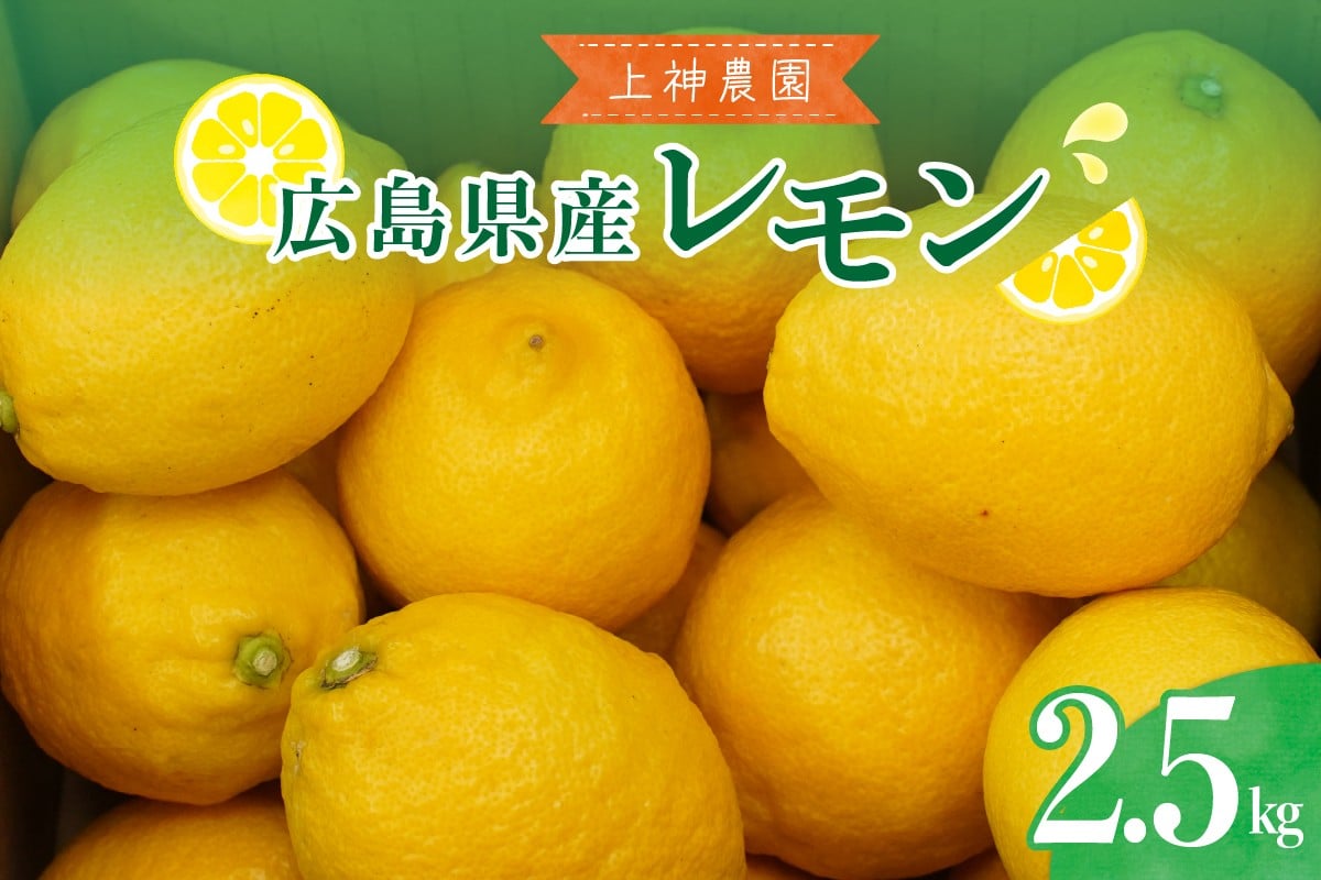 
            【2025年11月～発送】上神農園 の 広島県産 レモン 約2.5kg ku011-003-25
          