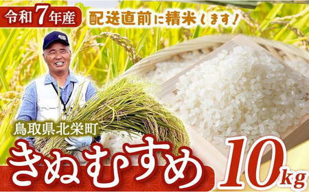 【新米】【在庫限定】令和7年産米 きぬむすめ 10kg （大上農園）数量限定 新米 米 白米 きぬむすめ