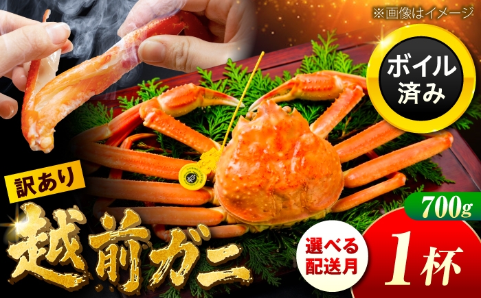 
                  【選べる配送月】【先行予約/11月7日より順次配送】訳アリ 脚折れあり 越前がに 700ｇ×1ハイ 小浜市 / まるほ商店【配送不可地域：北海道・沖縄・離島】 [BFCS065]
                