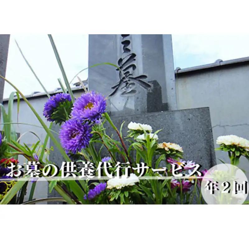 お墓の供養代行サービス 2回プラン：B400-026