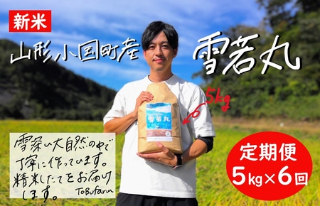 【6回定期便】令和6年産　山形県小国町産　雪若丸・5kg