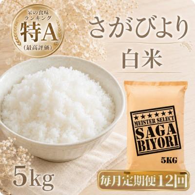 ふるさと納税 江北町 【毎月定期便】さがびより　白米5kg(江北町)全12回