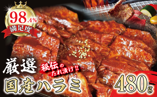 希少　和牛入国産牛　ハラミ480g　秘伝の自家製タレ漬け【FO22U】