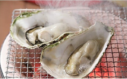 【ぷりっぷりで濃厚！】釧路管内産【活】牡蠣（小）12個 ふるさと納税 牡蠣 F4F-8911