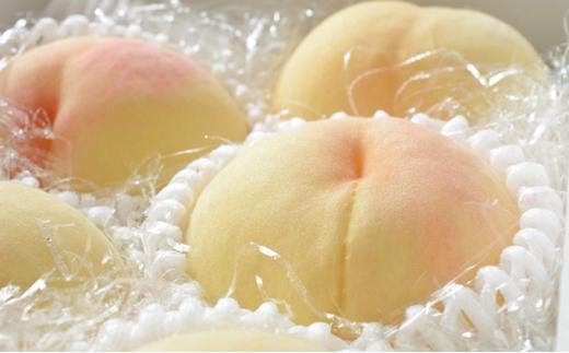 桃 2026年 白桃 6玉（1玉300g以上） 等級： ロイヤル 化粧箱入り もも モモ 岡山県産 国産 フルーツ 果物 ギフト